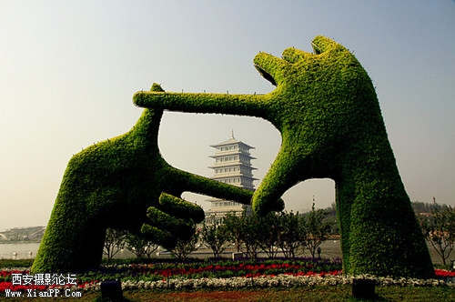 世园会 014_副本_副本_副本.jpg