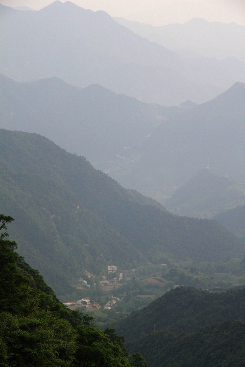 IMG_8717.JPG