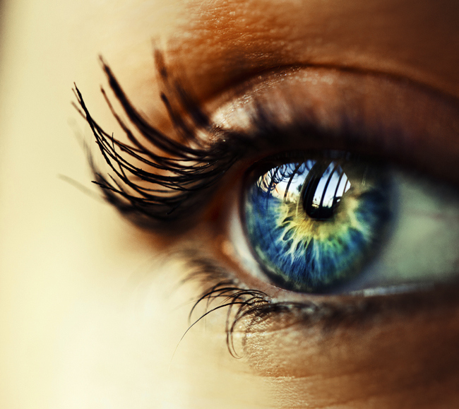 迷失之海  作者  Hamed Al Mehairi.jpg