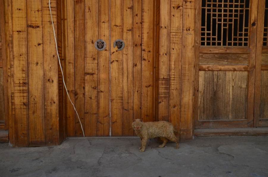 DSC_0628.JPG