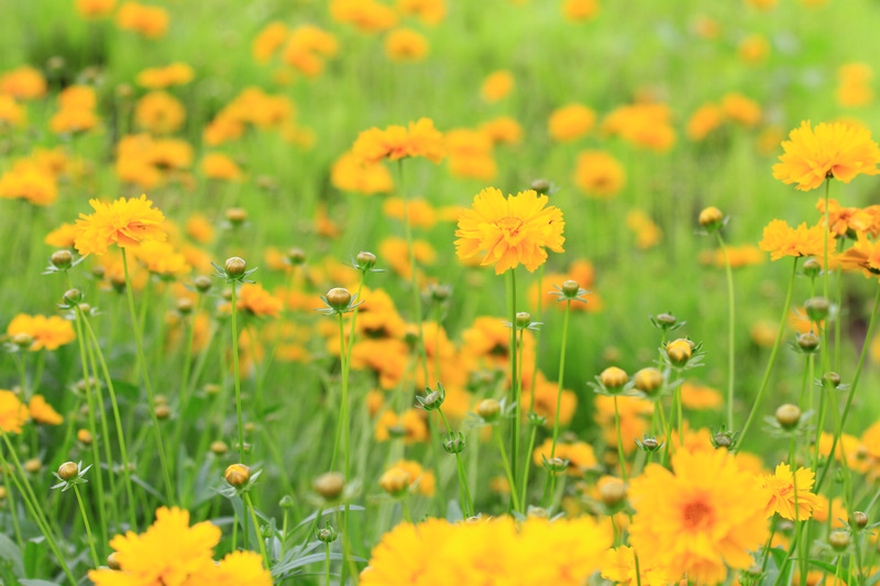 汉中随拍 199.jpg