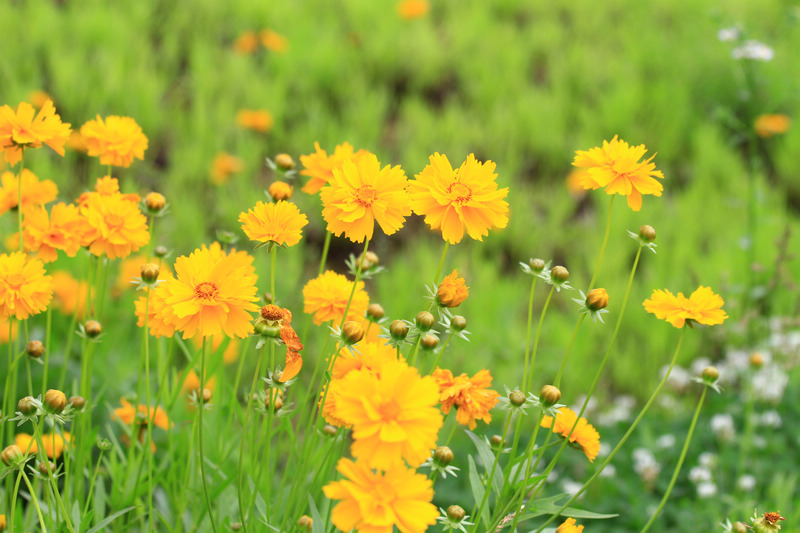 汉中随拍 200.jpg