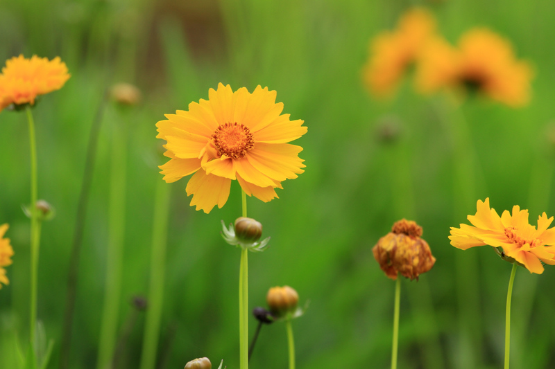 汉中随拍 226.jpg