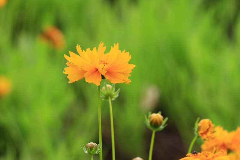 汉中随拍 228.jpg