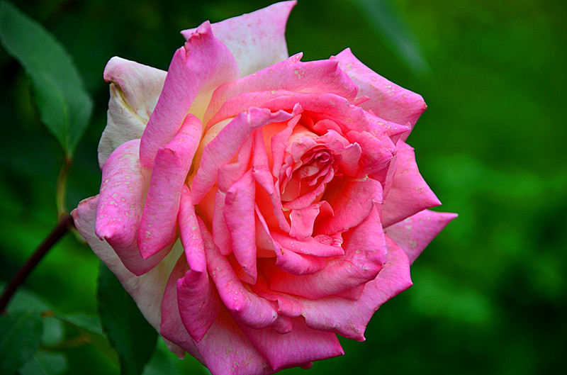 照片 087_副本.jpg