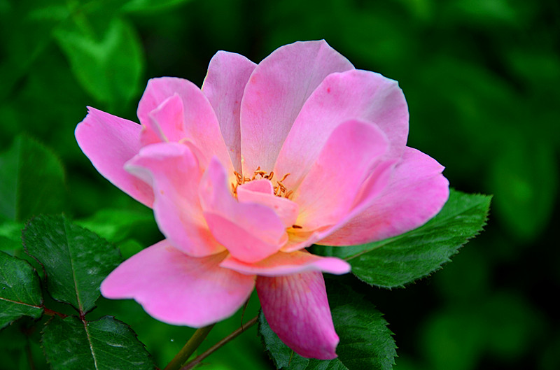 照片 097_副本.jpg