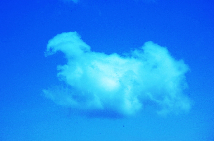 照片12 008.jpg