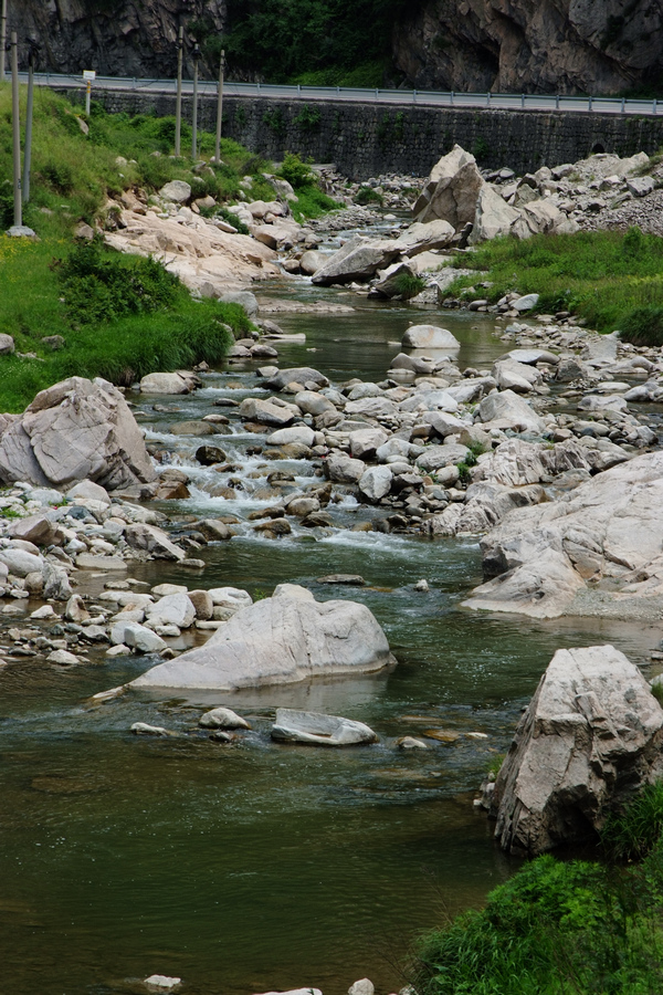 DSCF0082.jpg