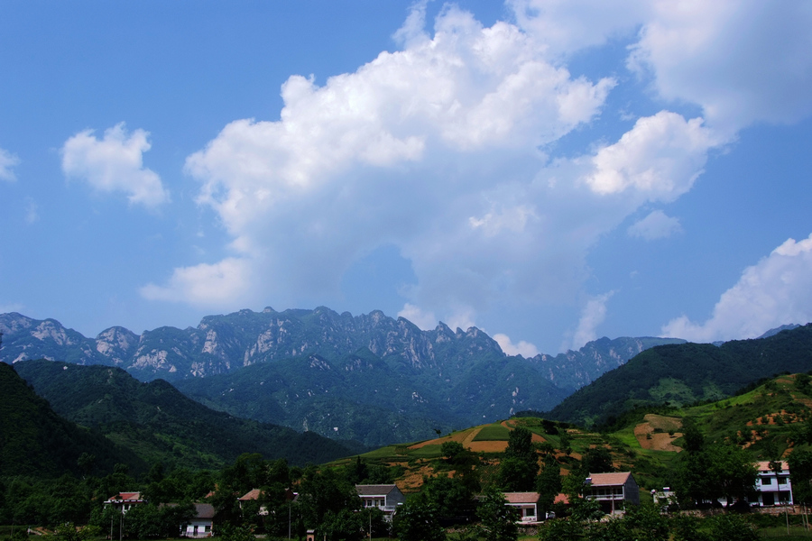 DSCF0087.jpg