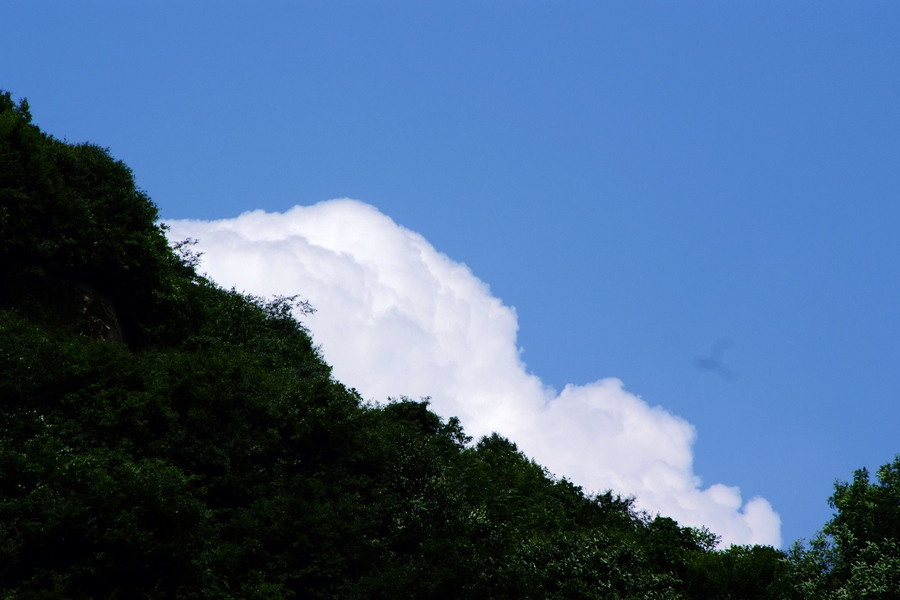 DSCF0099.jpg