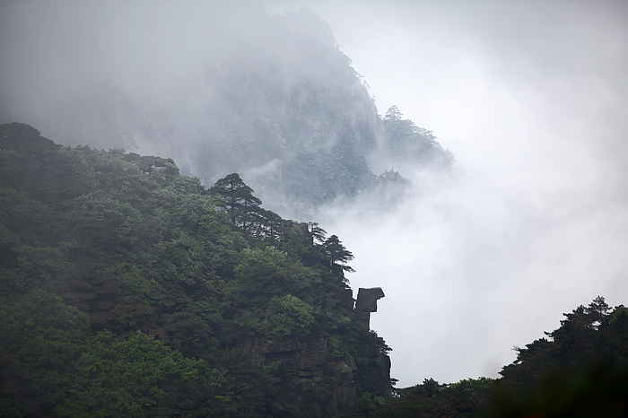 黄山景致02.jpg