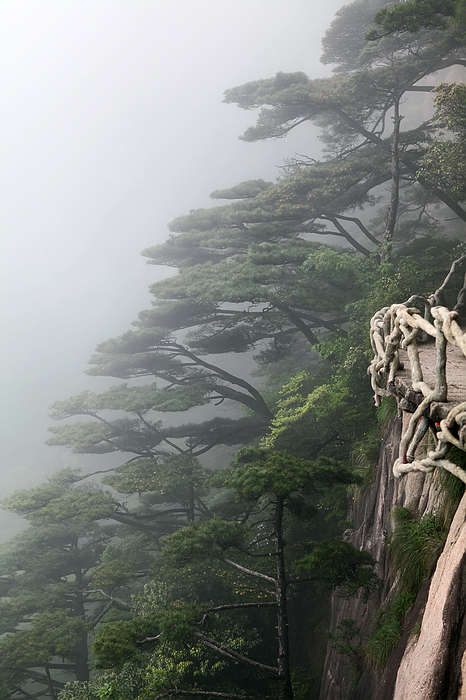 黄山景致17.jpg