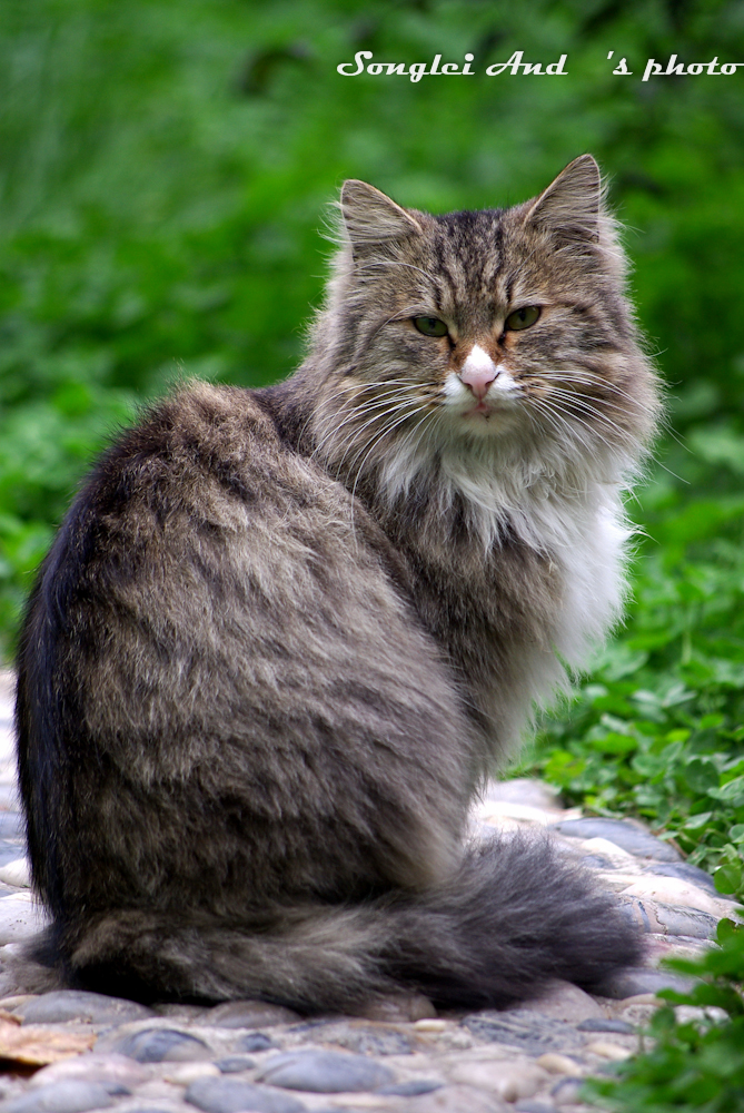 IMGP9144.jpg