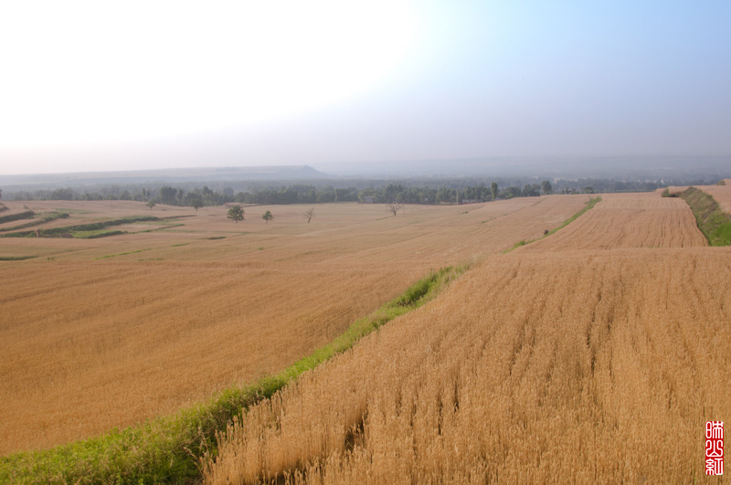DSC_2614.jpg