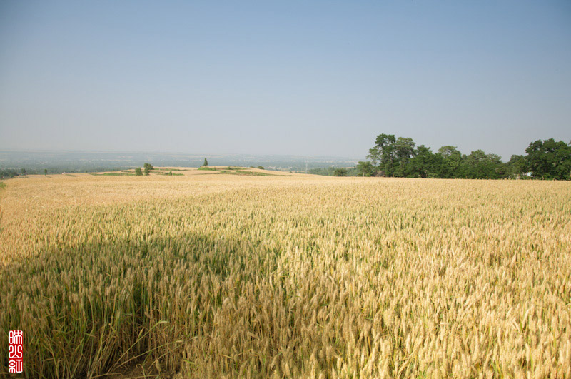 DSC_2398.jpg