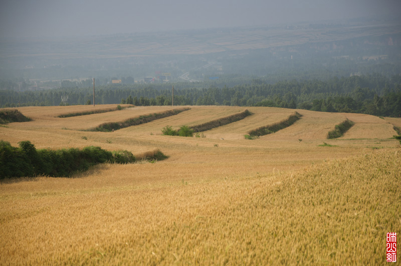 DSC_2400.jpg