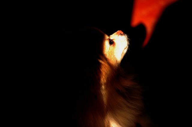 DSC_1308.JPG