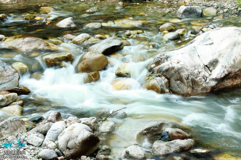 _MG_0078.jpg