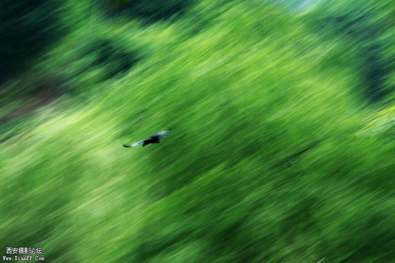 _MG_0087.jpg