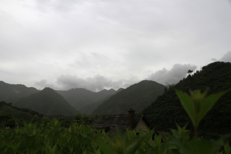 _MG_4701.jpg