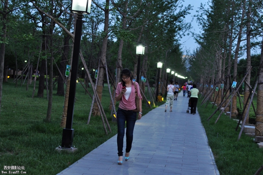 DSC_0161.jpg