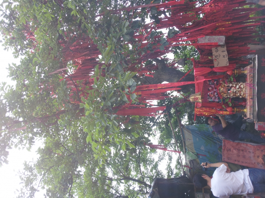 2012-05-16 13.50.24.jpg