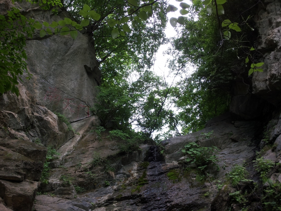 2012-05-16 16.05.34.jpg