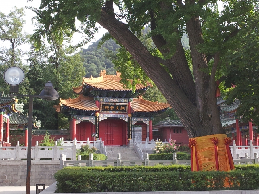 2012-05-16 17.42.05.jpg