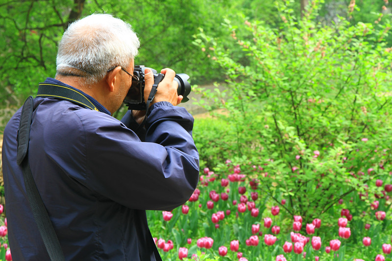 郁金香 133_副本.jpg