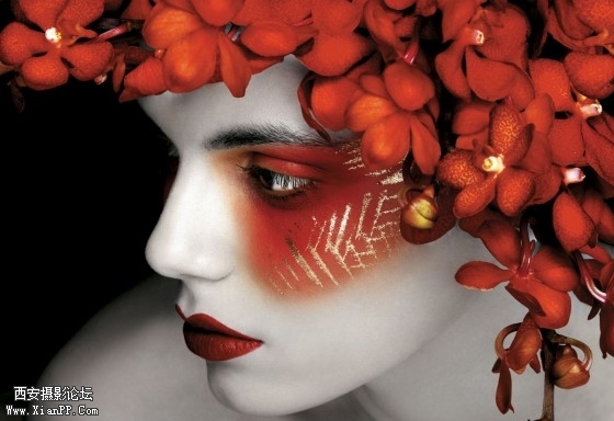 201004-130-5-560x384.jpg 201004-130-5-560x384.jpg