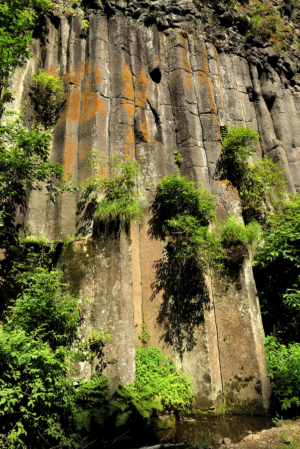 _DSC0170.jpg