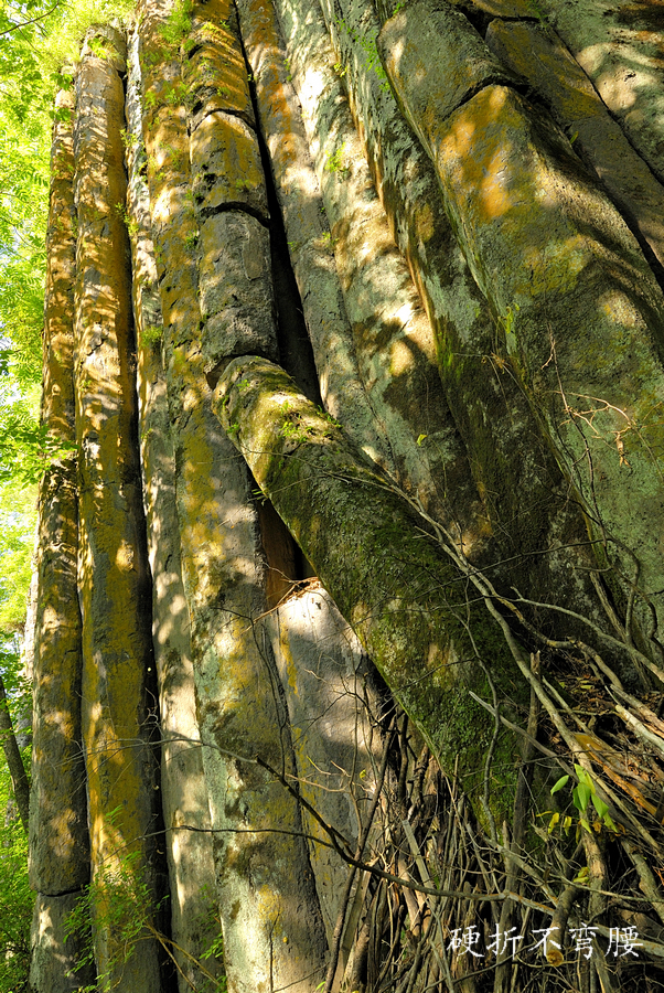 _DSC0208.jpg