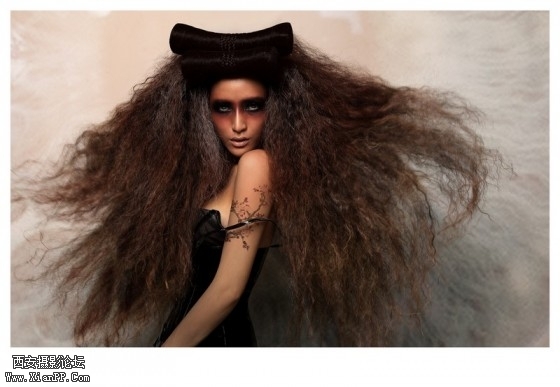 ss003-560x387.jpg ss003-560x387.jpg