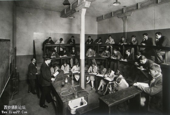 lume-4-560x378.jpg lume-4-560x378.jpg