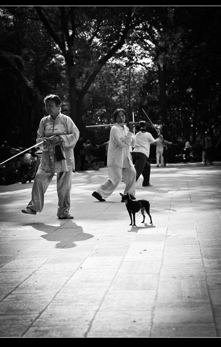 _MG_0944.jpg