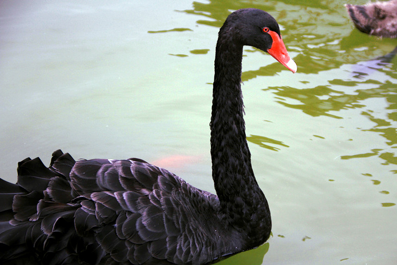 寒窑 102_副本.jpg