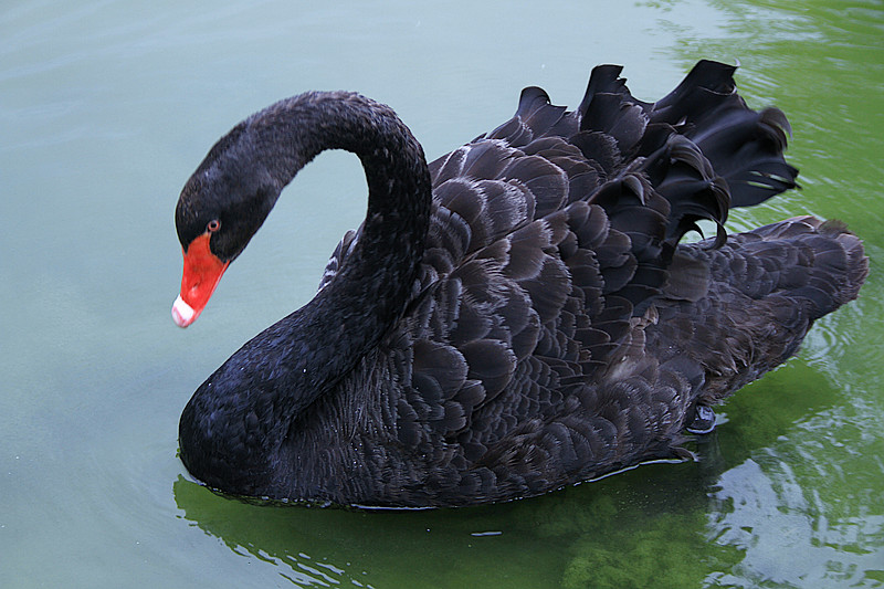 寒窑 116_副本.jpg