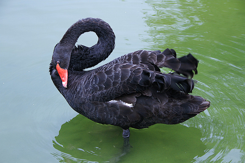 寒窑 118_副本.jpg