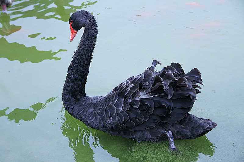 寒窑 119_副本.jpg