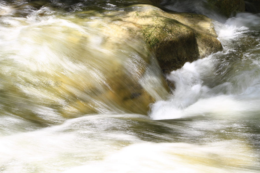 _MG_9665.JPG
