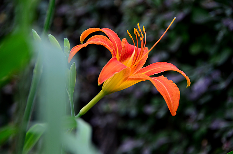 照片 006_副本.jpg