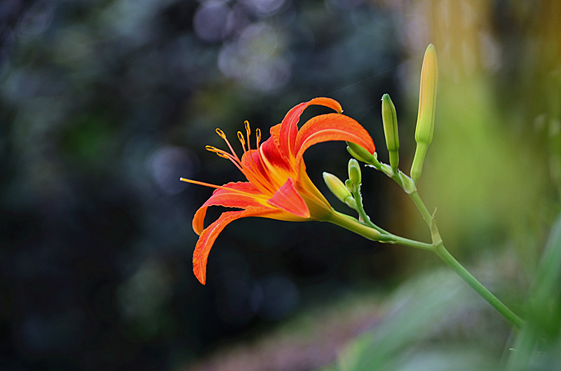 照片 007_副本.jpg