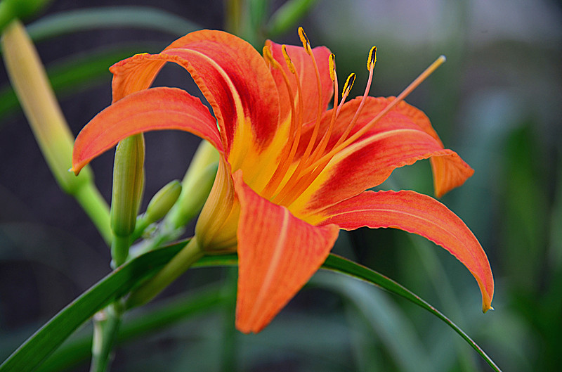 照片 004_副本.jpg