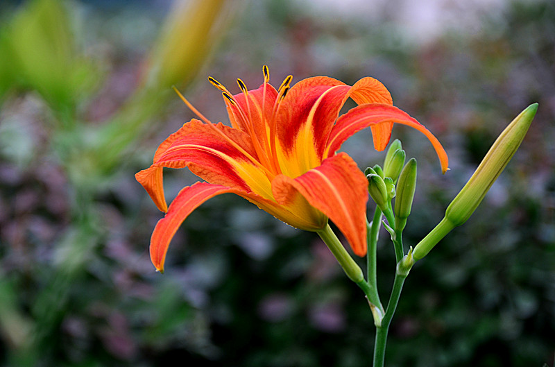 照片 005_副本.jpg