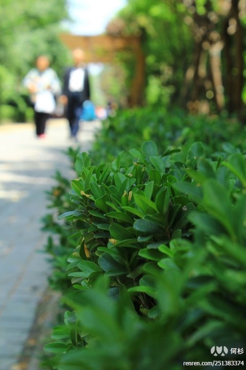 large_Afq4_5b100000048a1260.jpg