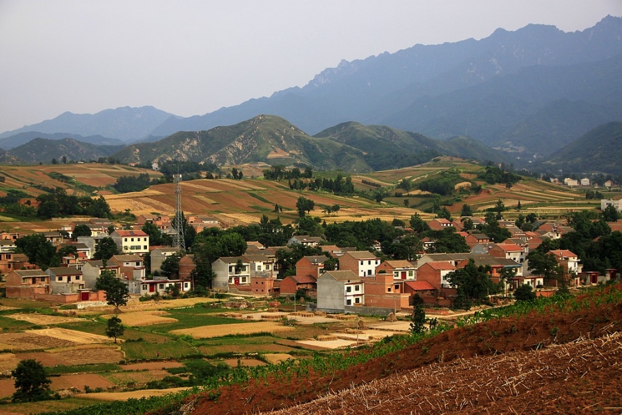 FENGGUANG 267A.jpg