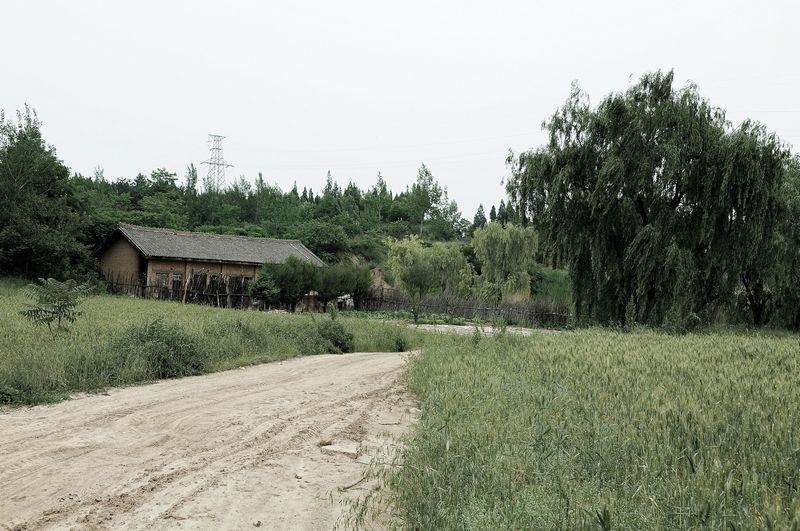 DSC_0002.jpg
