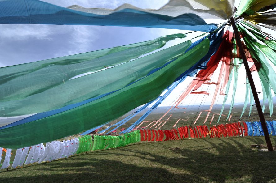 1DSC_1606.jpg