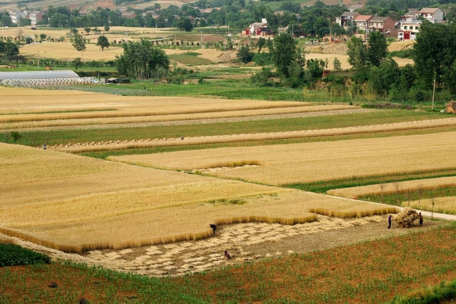 FENGGUANG 158A.jpg