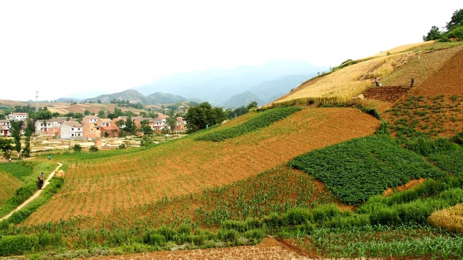 FENGGUANG 149A.jpg